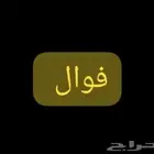 مطلوب ممول مشروع فوال