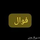 مطلوب ممول للمشروع