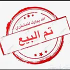 بيض مخصب دجاج لوهمان