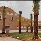 ابو علي لتوريد