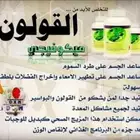 ميكوفيجي