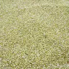 خضير للبيع طحين مطحنه