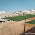 نقوم بتوريد وزراعة الثيل الطبيعي بجميع أنواعه