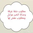 مطلوب شقة عوايل غرفة وصالة وطلوب عفش