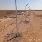 مقاول جميع انواع الشبوك وأعمال النخيل والبيوت التراثيه من ا