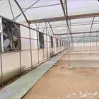 صالة زراعية محمية للبيع