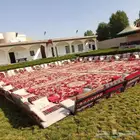 اقرب حفلات من موقعي