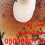عسل سدر اصلي مضمون وعلى شرط و المختبر 