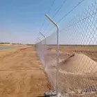 مقول شبوك ونخيل