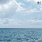 تحويل أي صورة ثابتة إلى متحركة (GIF)