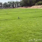 نجيلة C2000 صافي زراعي نوع ممتاز