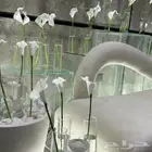 حفلات وتنسيق جميع المناسبات والهداياء الرياض