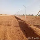 شبوك المزارع