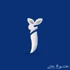 حفظ قران وتأسيس لغتى