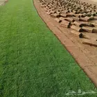 نجيله درجه اولا
