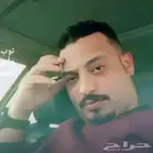 فرز الحمام الفرنسي ابو مكه