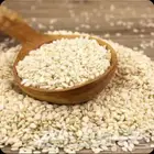 سمسم قضارف 250 طن