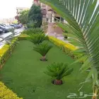 تيل طبيعي وشبكات الري