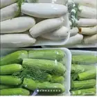 وجبات واكل مصري بيتي