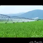 مشاريع ايجارلزراعه البرسيم ميقوع طبرجل