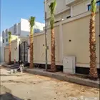 نخل وشنطني زينه