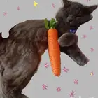 حي قنبوره