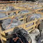 مكاين جمس شفروليه كاديلاك فورد دوج