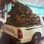 حط يابس شرط تواصل واتس اب