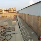مقول شبوك