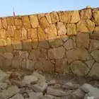 الرياض