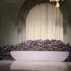 كوش أفراح ومناسبات