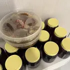 عسل سمره مع طلحه