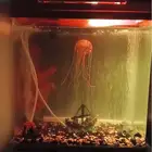 حوض سمك جديد بكامل اغراضه