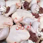 دجاج