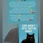 Cat-hotel and Cat-nanny service