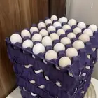 بيض بلدي مخصب شرط