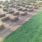 زراعة وتوريد تيل طبيعي