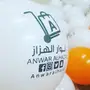 طباعة على بالونات 