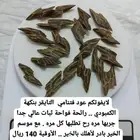 العندليب للعود والعسل