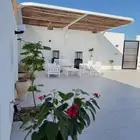 جلسات خيزران سواتر خيزران واجهات خيزران بامبو قش