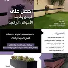 احواض