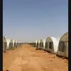 م زراعي شاطر جدا يبحث عن عمل تخصص انتاج خضار محمي ومكشوف