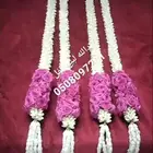 جيزان  ترند  فل_صبيا  عضايه_تساريح_تسريحه_فل_ولبه  عضايه_تس