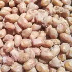 يوجد لدينا تمور فاخره للبيع اخلاص