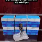 تمثال كبوت فور 88-91