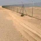 لشبوك