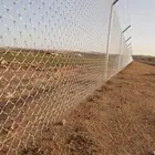 مقاولات