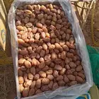 يتوفر خلاص فاخر