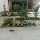 منسق حديق وتركيب جميع شبكات الري العادي والاتمتك