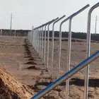 شبوك مزارع القصيم